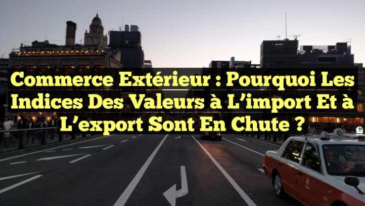 Commerce extérieur : Pourquoi les indices des valeurs à l’import et à l’export sont en chute ?