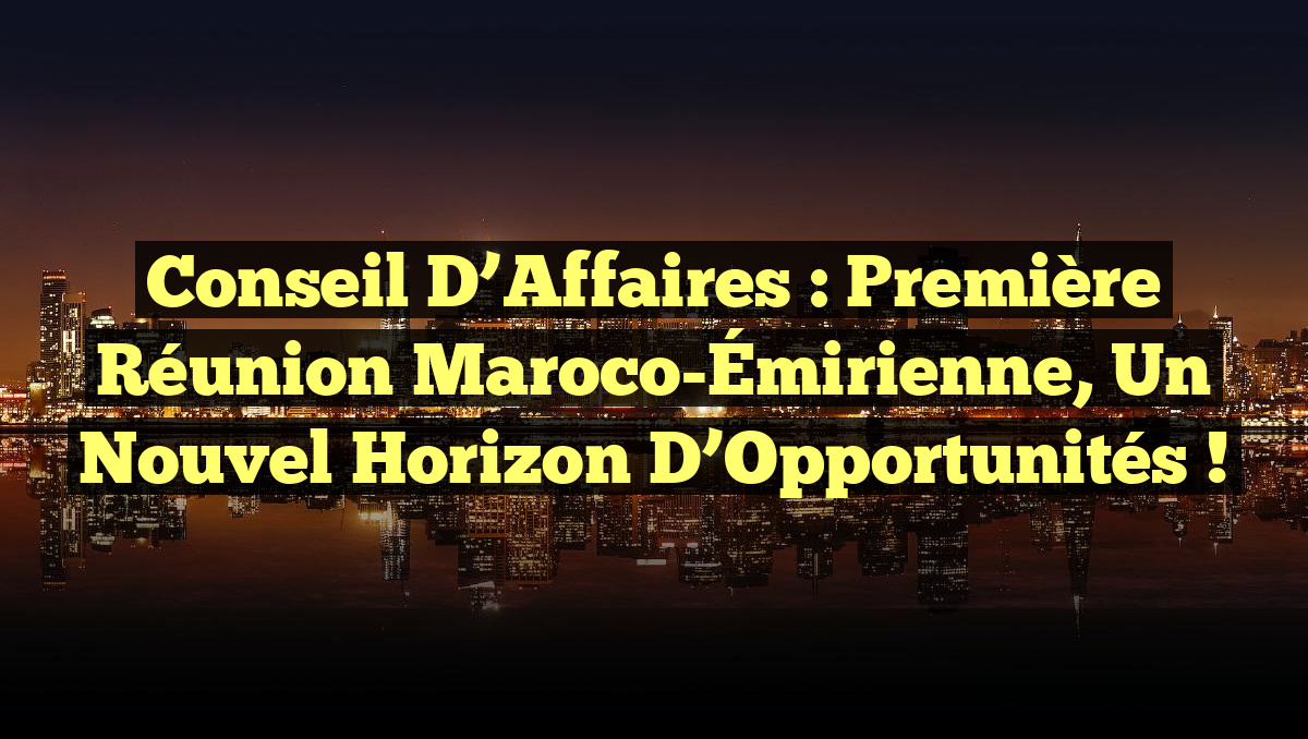 Conseil d&rsquo;Affaires : Première Réunion Maroco-Émirienne, un Nouvel Horizon d&rsquo;Opportunités !