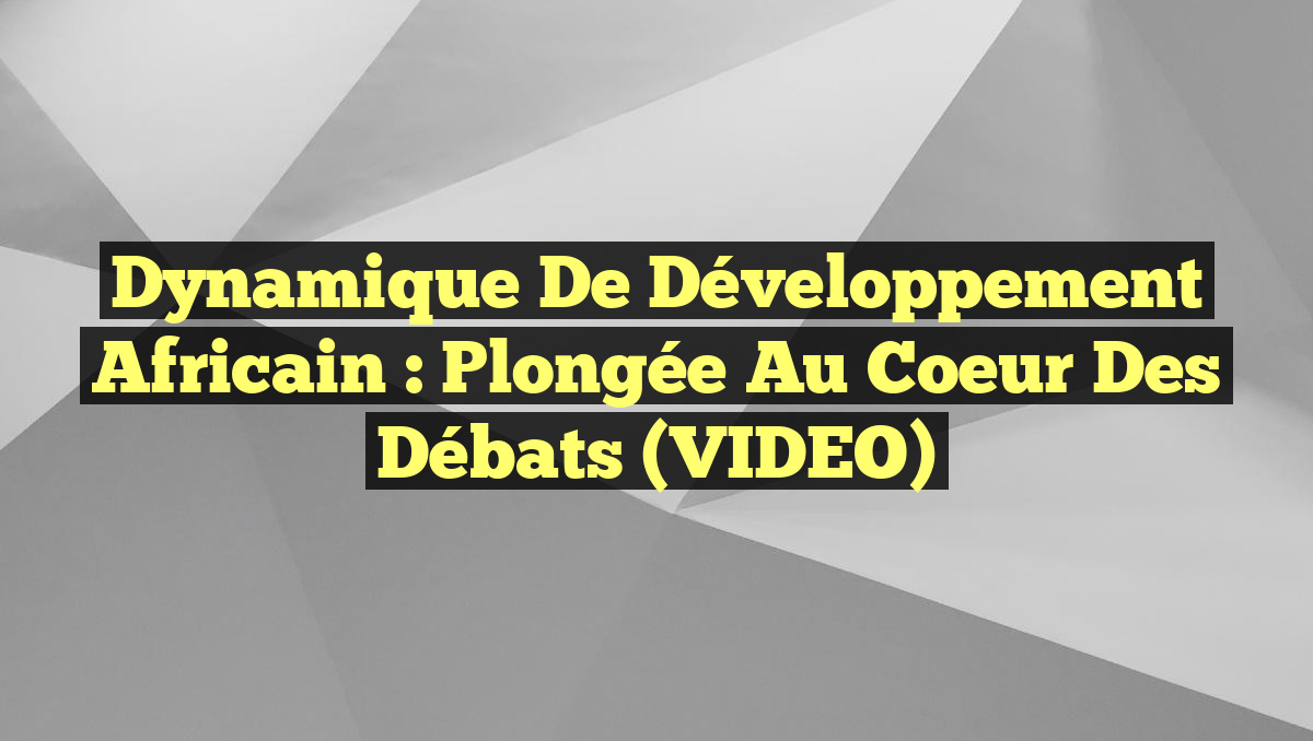 Dynamique de Développement Africain : Plongée au Coeur des Débats (VIDEO)