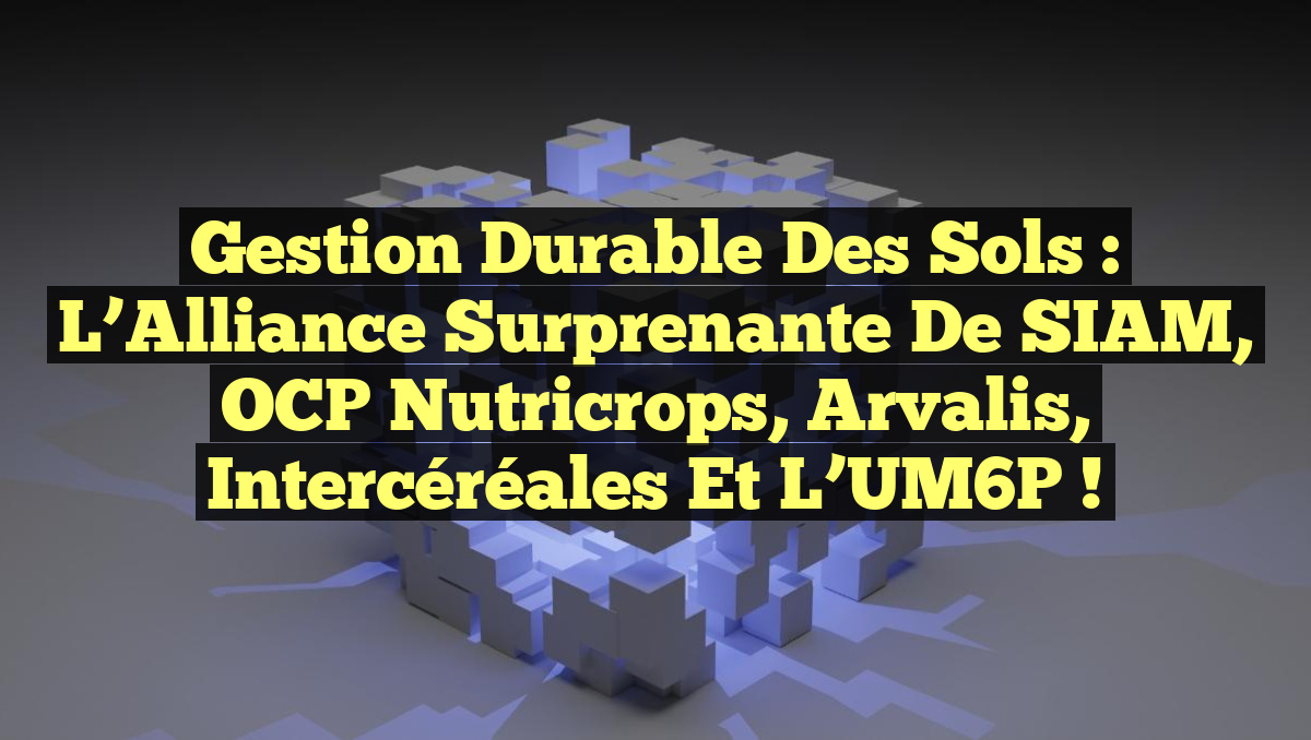 Gestion Durable des Sols : L’Alliance Surprenante de SIAM, OCP Nutricrops, Arvalis, Intercéréales et l’UM6P !