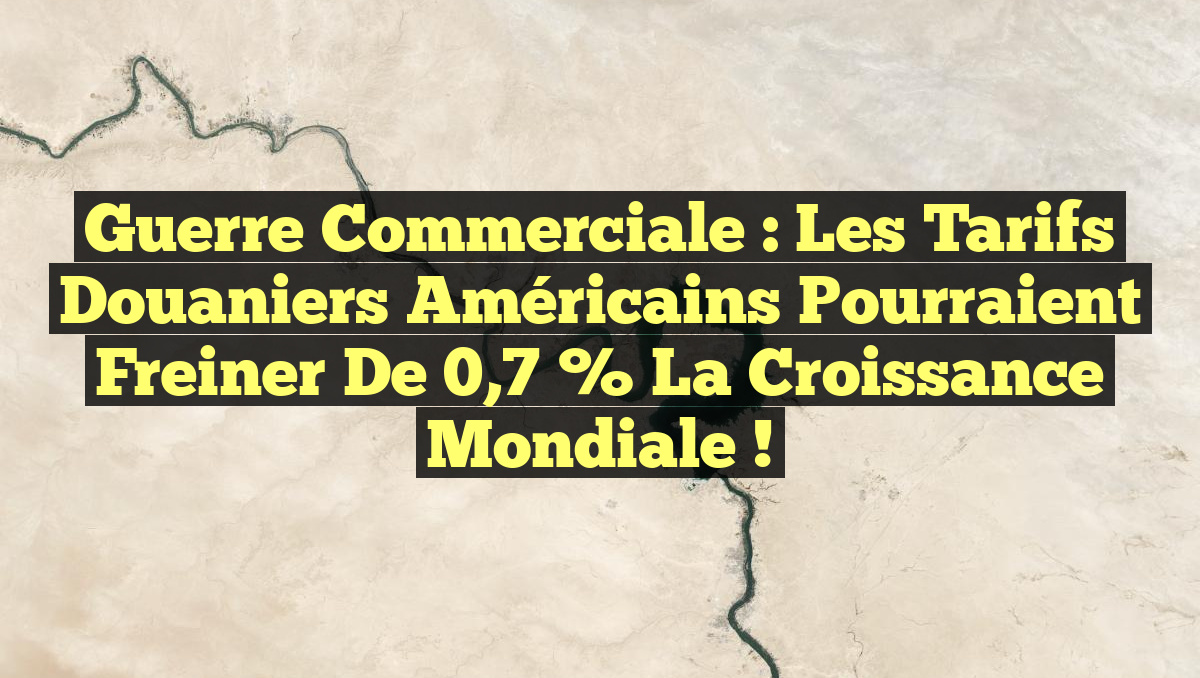 Guerre commerciale : Les tarifs douaniers américains pourraient freiner de 0,7 % la croissance mondiale !