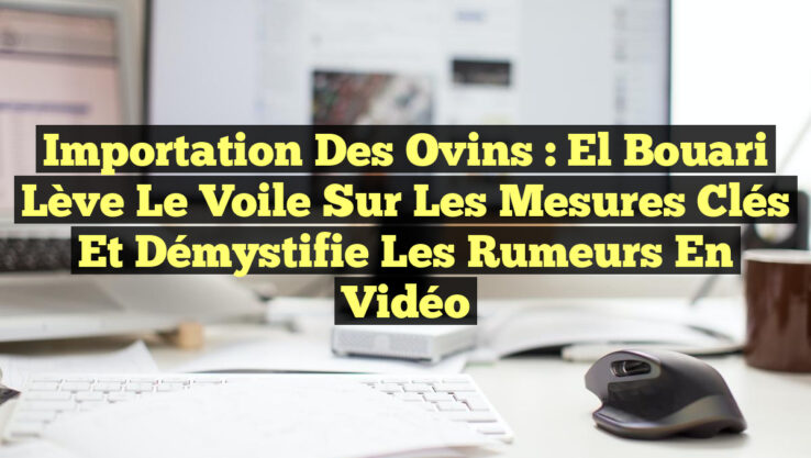 Importation des Ovins : El Bouari Lève le Voile sur les Mesures Clés et Démystifie les Rumeurs en Vidéo