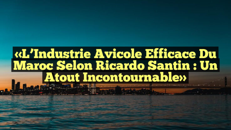 «L’Industrie Avicole Efficace du Maroc selon Ricardo Santin : Un Atout Incontournable» «L’Industrie Avicole Efficace du Maroc selon Ricardo Santin : Un Atout Incontournable»
