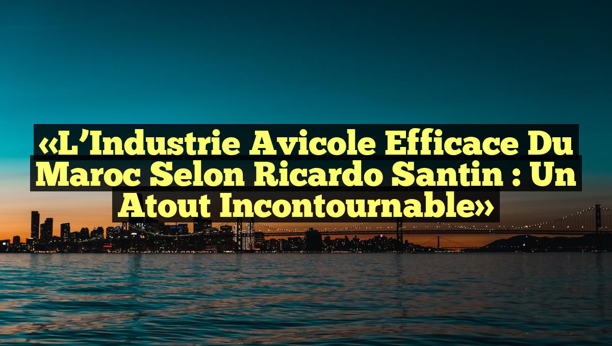 «L&rsquo;Industrie Avicole Efficace du Maroc selon Ricardo Santin : Un Atout Incontournable»