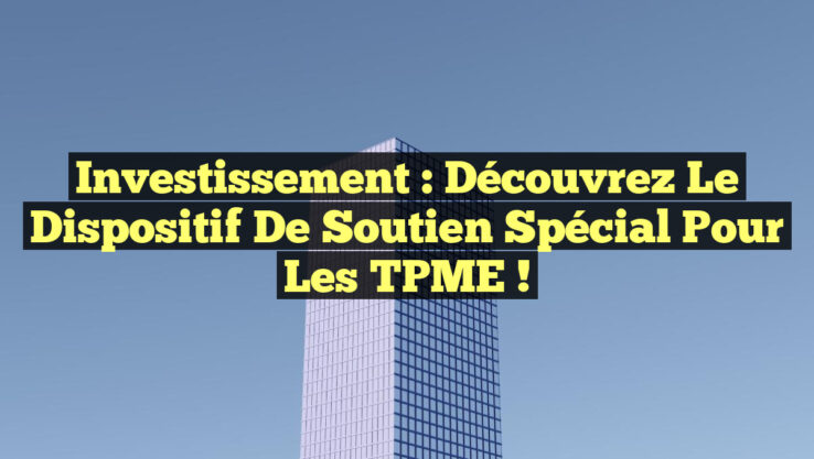 Investissement : Découvrez le Dispositif de Soutien Spécial pour les TPME !