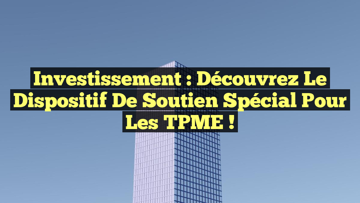 Investissement : Découvrez le Dispositif de Soutien Spécial pour les TPME !