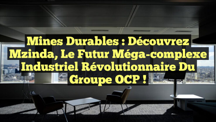 Mines durables : Découvrez Mzinda, le futur méga-complexe industriel révolutionnaire du groupe OCP !