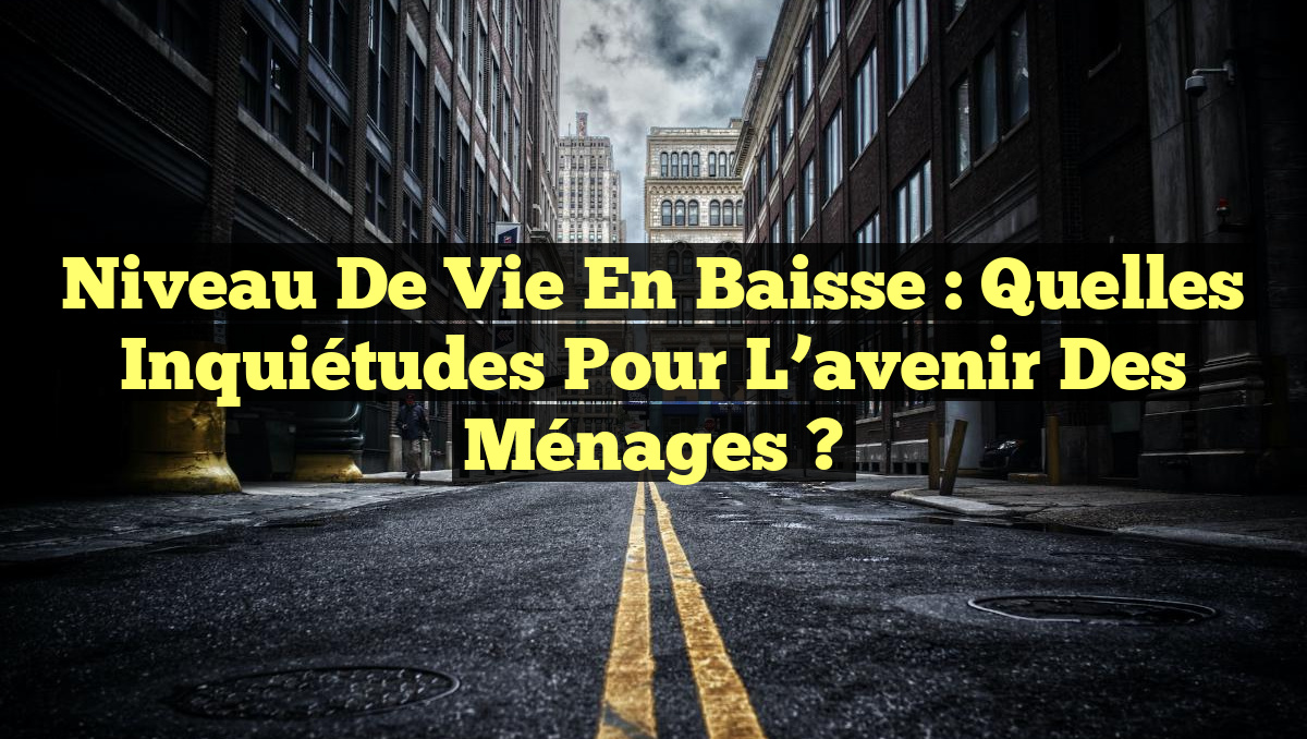 Niveau de vie en baisse : quelles inquiétudes pour l&rsquo;avenir des ménages ?
