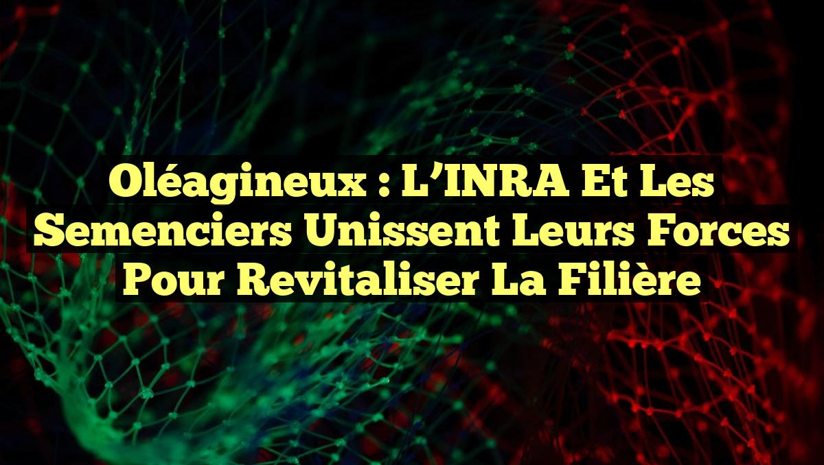 Oléagineux : L&rsquo;INRA et les semenciers unissent leurs forces pour revitaliser la filière