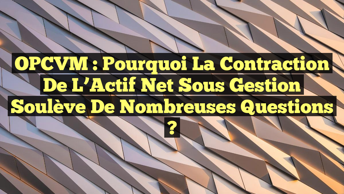 OPCVM : Pourquoi la Contraction de l&rsquo;Actif Net sous Gestion Soulève de Nombreuses Questions ?