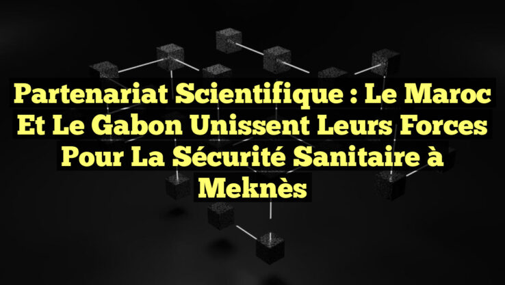 Partenariat Scientifique : Le Maroc et le Gabon Unissent leurs Forces pour la Sécurité Sanitaire à Meknès