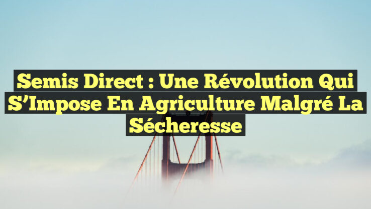 Semis Direct : Une Révolution qui S’Impose en Agriculture malgré la Sécheresse