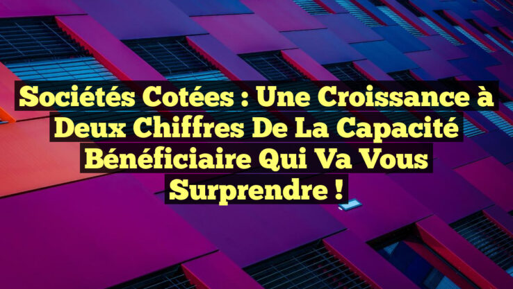 Sociétés Cotées : Une Croissance à Deux Chiffres de la Capacité Bénéficiaire qui Va Vous Surprendre ! Sociétés Cotées : Une Croissance à Deux Chiffres de la Capacité Bénéficiaire qui Va Vous Surprendre !