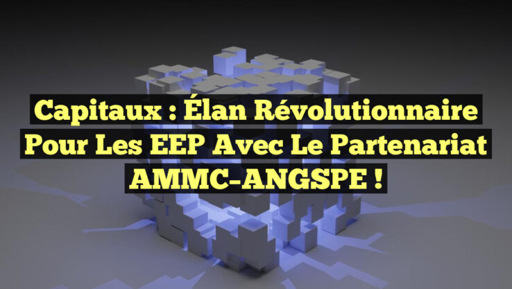 Capitaux : Élan Révolutionnaire pour les EEP avec le Partenariat AMMC–ANGSPE !