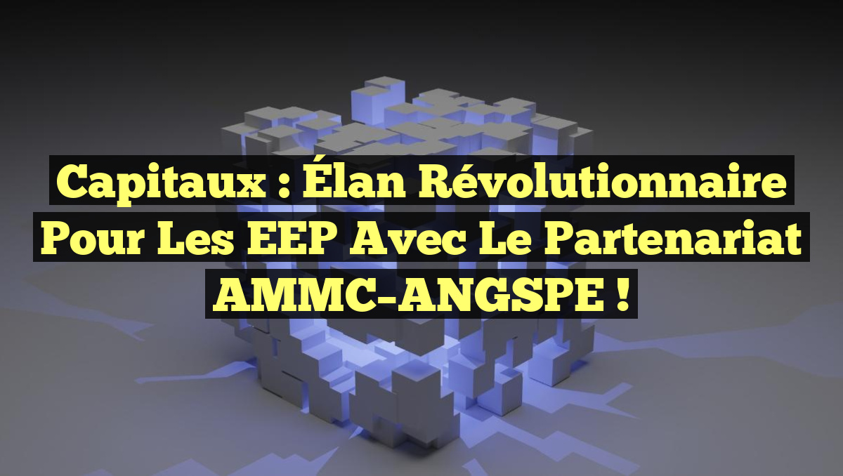 Capitaux : Élan Révolutionnaire pour les EEP avec le Partenariat AMMC–ANGSPE !