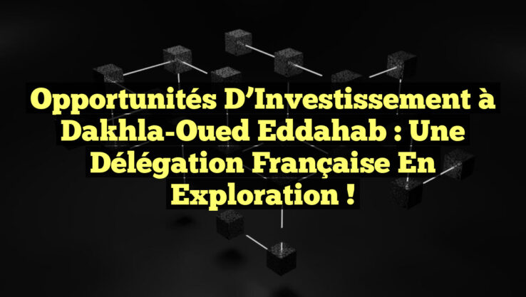 Opportunités d’Investissement à Dakhla-Oued Eddahab : Une Délégation Française en Exploration !