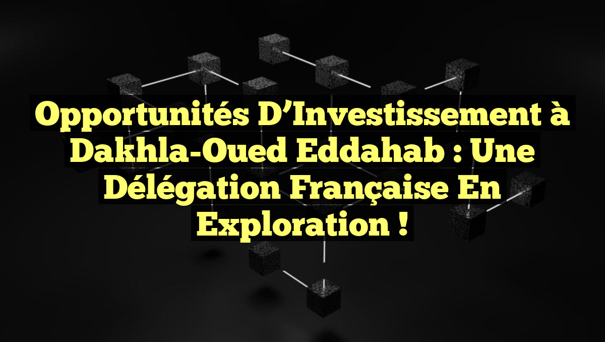 Opportunités d’Investissement à Dakhla-Oued Eddahab : Une Délégation Française en Exploration !