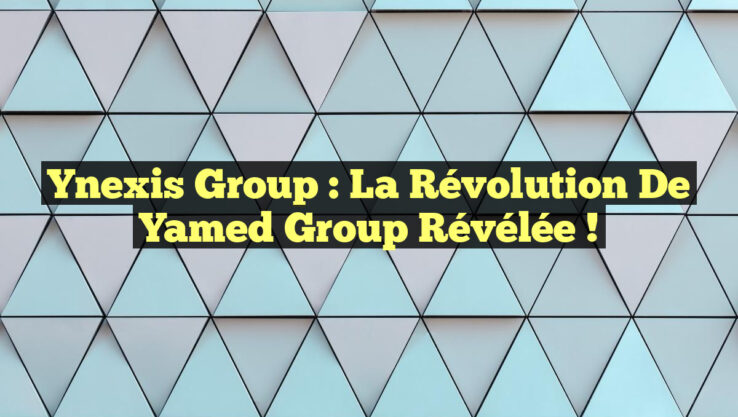 Ynexis Group : La Révolution de Yamed Group Révélée !