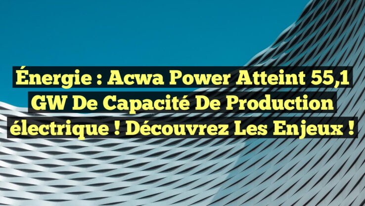 Énergie : Acwa Power atteint 55,1 GW de capacité de production électrique ! Découvrez les enjeux !