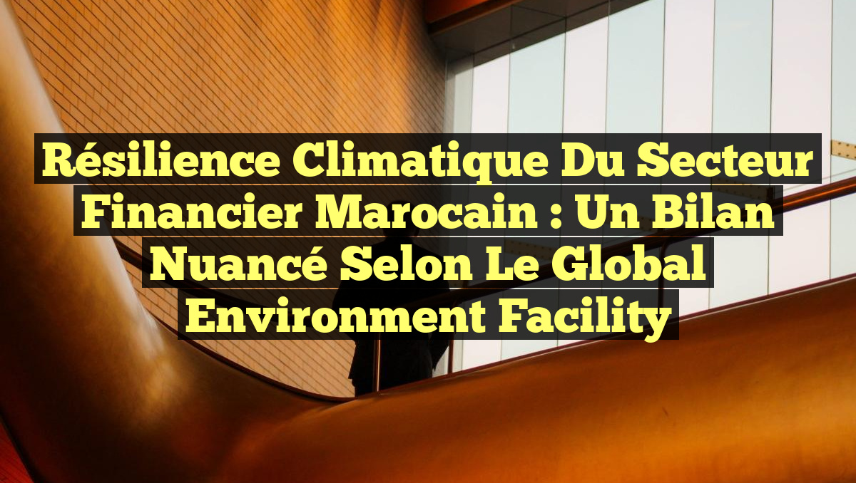 Résilience climatique du secteur financier marocain : un bilan nuancé selon le Global Environment Facility