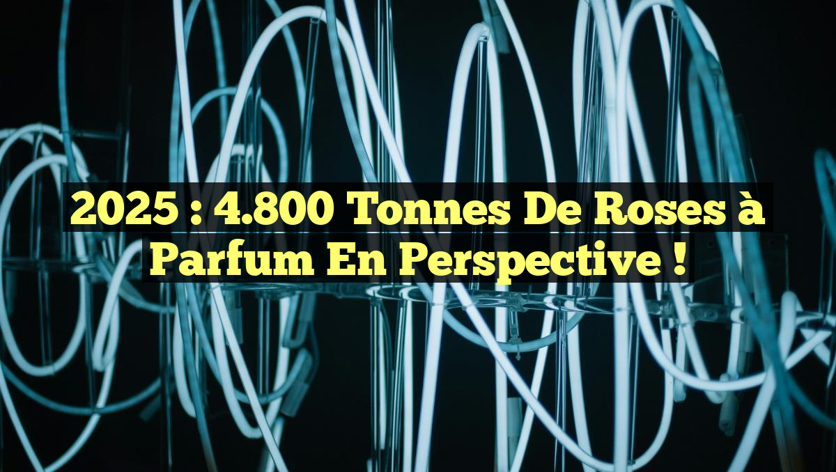 2025 : 4.800 Tonnes de Roses à Parfum en Perspective !