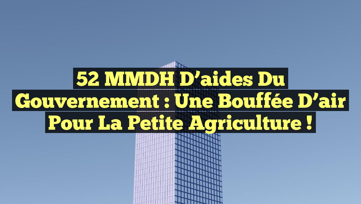 52 MMDH d&rsquo;aides du gouvernement : Une bouffée d&rsquo;air pour la petite agriculture !