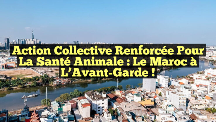 Action Collective Renforcée pour la Santé Animale : Le Maroc à l’Avant-Garde ! Action Collective Renforcée pour la Santé Animale : Le Maroc à l’Avant-Garde !