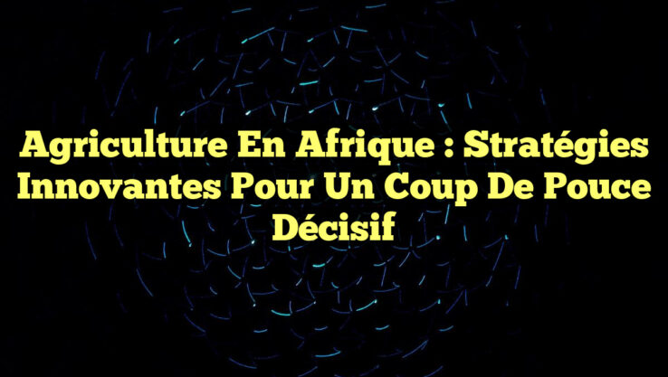 Agriculture en Afrique : Stratégies Innovantes pour un Coup de Pouce Décisif