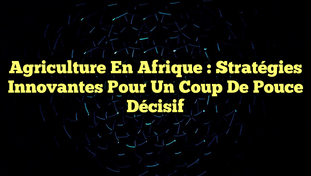 Agriculture en Afrique : Stratégies Innovantes pour un Coup de Pouce Décisif