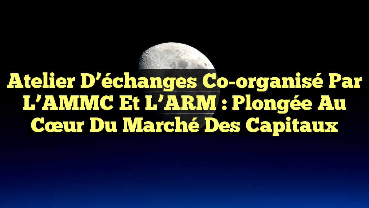 Atelier d’échanges co-organisé par l’AMMC et l’ARM : Plongée au cœur du Marché des capitaux