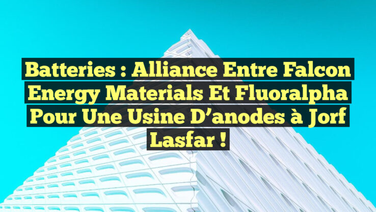 Batteries : Alliance entre Falcon Energy Materials et Fluoralpha pour une usine d’anodes à Jorf Lasfar !