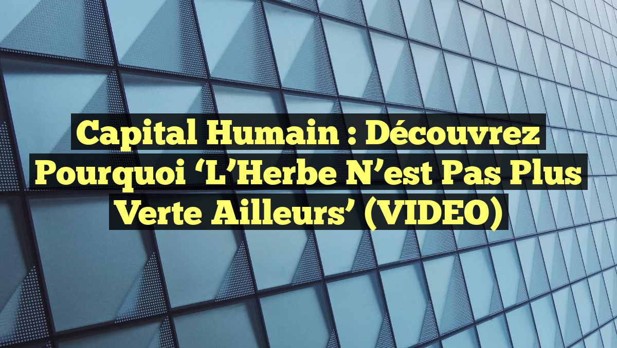 Capital Humain : Découvrez Pourquoi &lsquo;L&rsquo;Herbe N&rsquo;est Pas Plus Verte Ailleurs&rsquo; (VIDEO)
