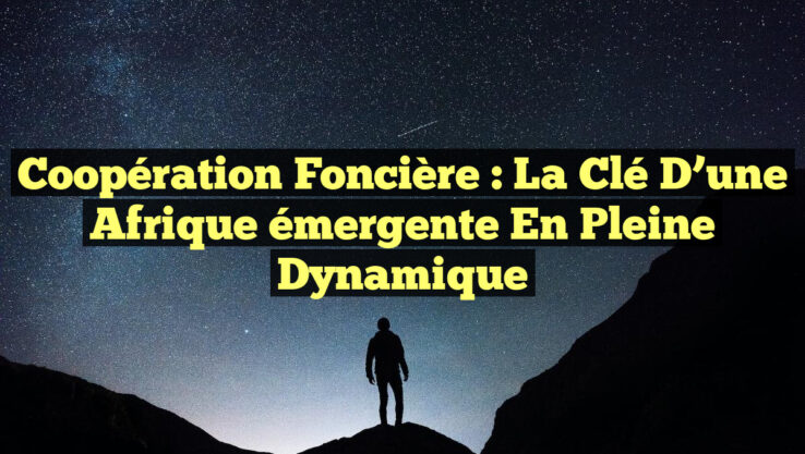 Coopération foncière : la clé d’une Afrique émergente en pleine dynamique