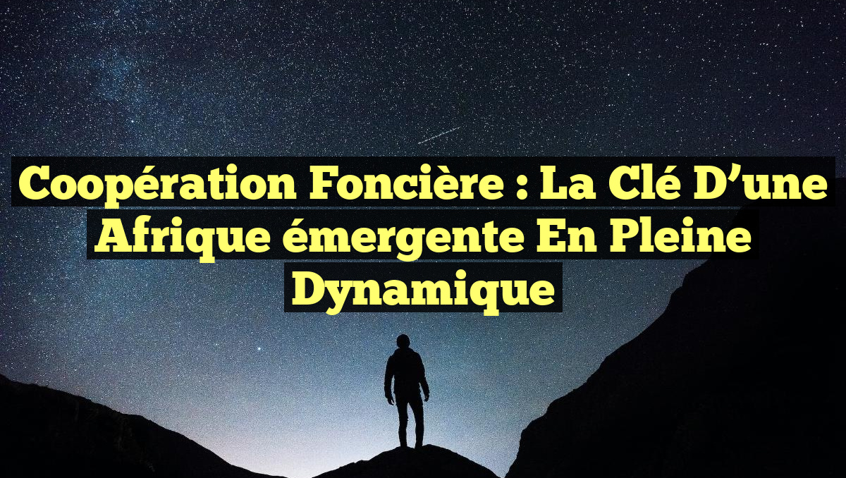 Coopération foncière : la clé d&rsquo;une Afrique émergente en pleine dynamique