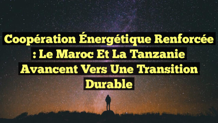 Coopération Énergétique Renforcée : Le Maroc et la Tanzanie Avancent Vers une Transition Durable