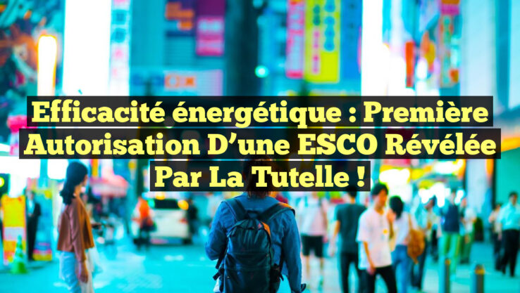 Efficacité énergétique : Première autorisation d’une ESCO révélée par la tutelle !