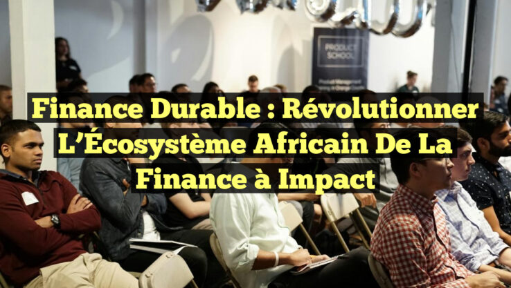 Finance Durable : Révolutionner l’Écosystème Africain de la Finance à Impact