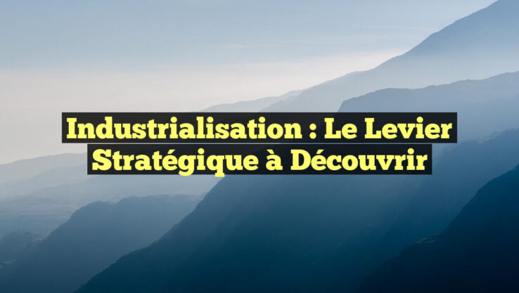 Industrialisation : le levier stratégique à découvrir