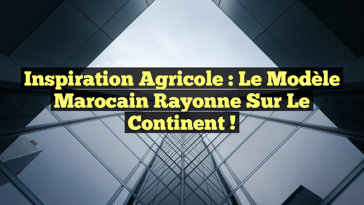 Inspiration agricole : le modèle marocain rayonne sur le continent !