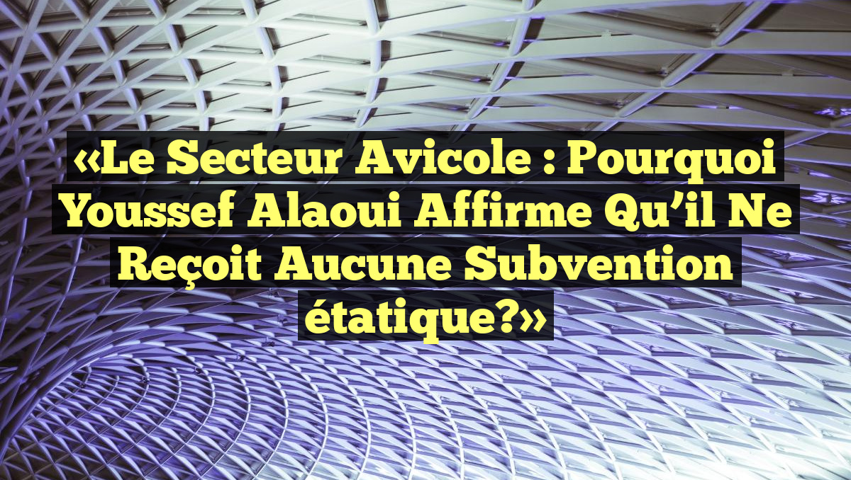 «Le secteur avicole : Pourquoi Youssef Alaoui affirme qu&rsquo;il ne reçoit aucune subvention étatique?»