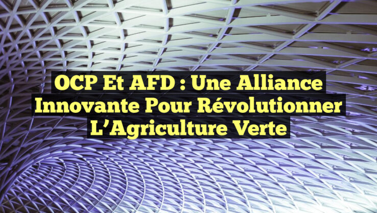 OCP et AFD : Une Alliance Innovante pour Révolutionner l’Agriculture Verte