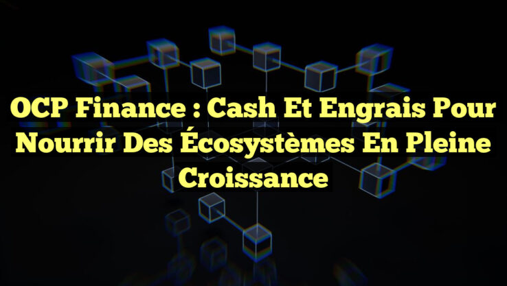OCP Finance : Cash et Engrais pour Nourrir des Écosystèmes en Pleine Croissance