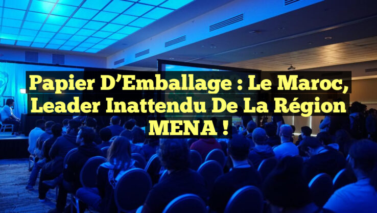Papier d’Emballage : Le Maroc, Leader Inattendu de la Région MENA !