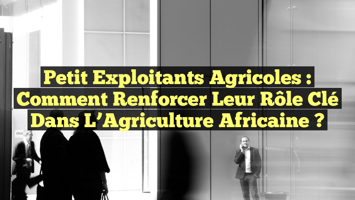 Petit Exploitants Agricoles : Comment Renforcer leur Rôle Clé dans l&rsquo;Agriculture Africaine ?
