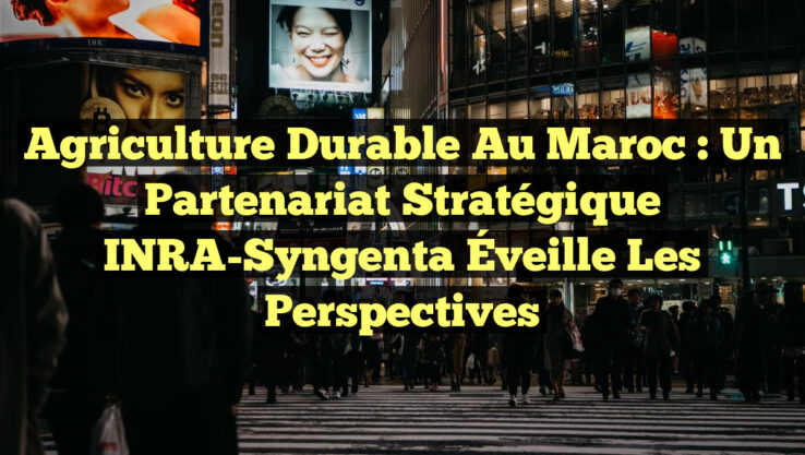 Agriculture Durable au Maroc : Un Partenariat Stratégique INRA-Syngenta Éveille les Perspectives
