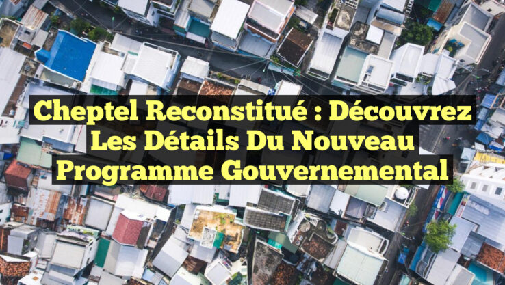 <p><strong>Cheptel reconstitué : Découvrez les détails du nouveau programme gouvernemental</strong></p> Cheptel reconstitué : Découvrez les détails du nouveau programme gouvernemental