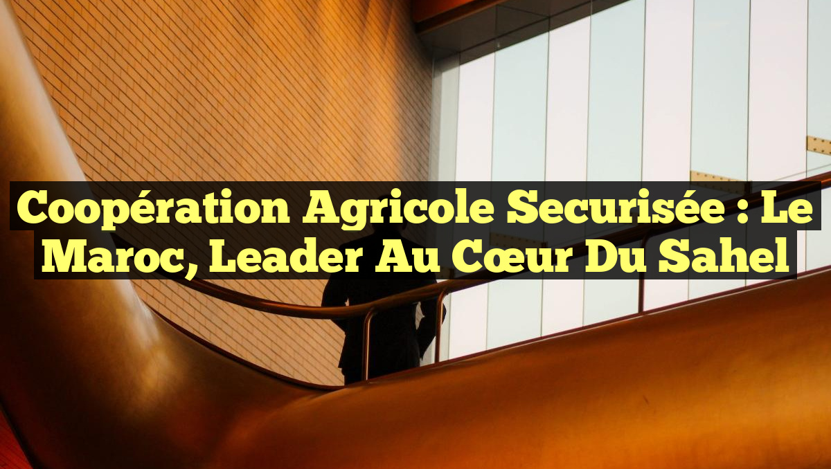 Coopération Agricole Securisée : Le Maroc, Leader au Cœur du Sahel