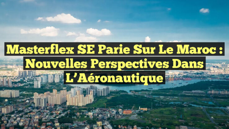 Masterflex SE parie sur le Maroc : Nouvelles Perspectives dans l’Aéronautique