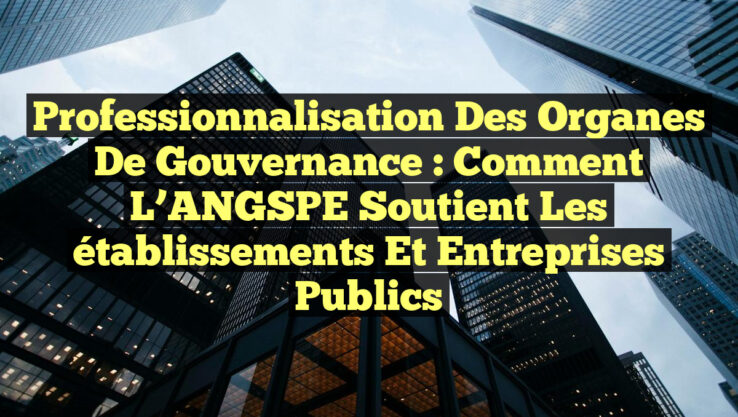 Professionnalisation des organes de gouvernance : Comment l’ANGSPE soutient les établissements et entreprises publics