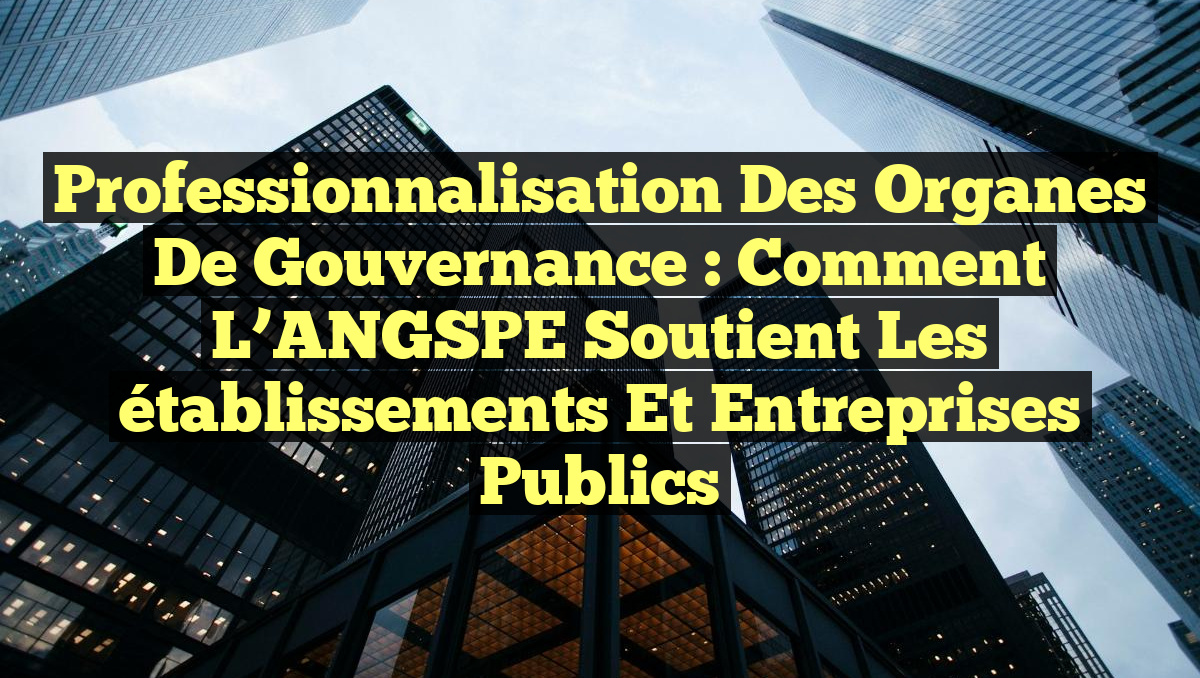Professionnalisation des organes de gouvernance : Comment l&rsquo;ANGSPE soutient les établissements et entreprises publics